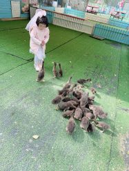 -萌宠亲子动物乐园(槐房万达店)