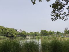 -新江湾城公园