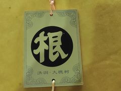 -大槐树寻根祭祖园