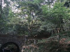 -莫干山风景区