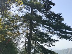 -塔云山
