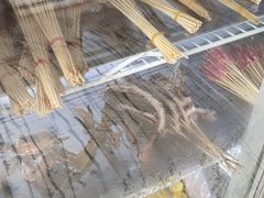 -巴五中胖娃烧烤