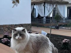 -新疆那拉提国家旅游度假区