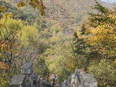 -云岫谷游猎自然风景区