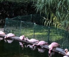 -九龙公园