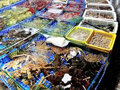 -霞涌市场海鲜摆卖区