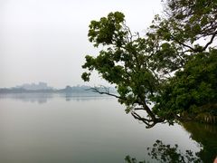 -鹤之洲湿地公园