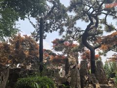 -个园