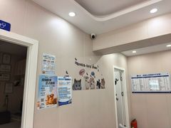-宠颐生宠物医院·综合诊疗(先锋分院)