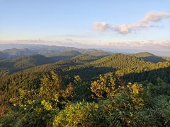 -武陵山森林公园