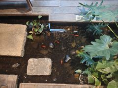 -邈墨茶馆(大兜路1号店)