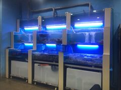 水产区-老虎滩大连海鲜烧烤(建邺云锦路总店)