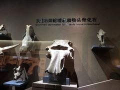 -大庆市博物馆