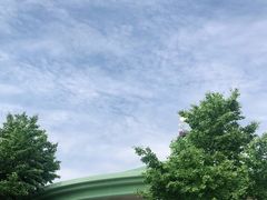 -喜茶(迪士尼小镇DP店)