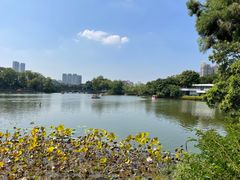 -东山湖公园