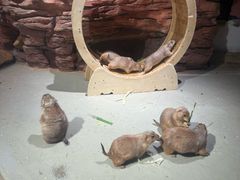 -正佳雨林生态植物园