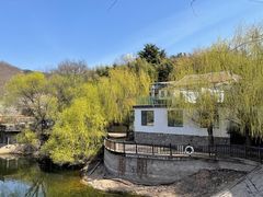 -清雅臻品·竹林院落·新派青岛菜(崂山店)