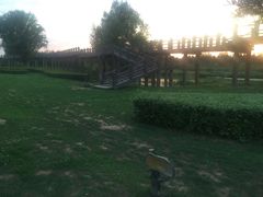 -蒲河岛湿地公园