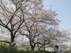 -帝京日语(春熙路旗舰校区)