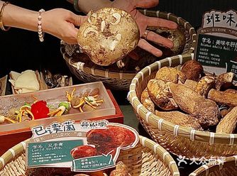 见手青真的会见到跳舞小人…………吗