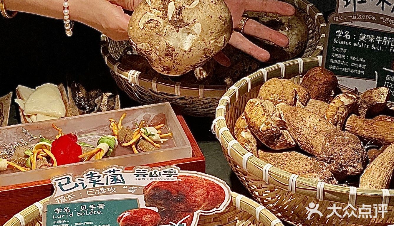 见手青真的会见到跳舞💃🏻小人…………吗