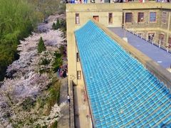 -武汉大学-樱园