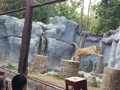 -清迈夜间动物园