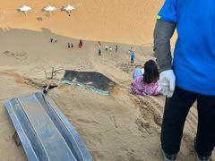 -银肯塔拉沙漠生态旅游景区