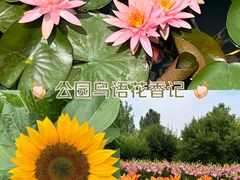 -花开海上生态园