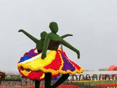 -荷兰花海