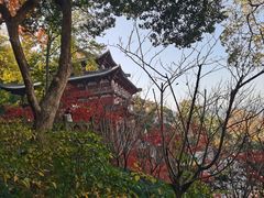 -九曜山