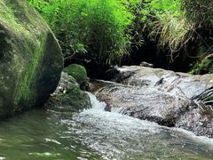 -阳台山森林公园