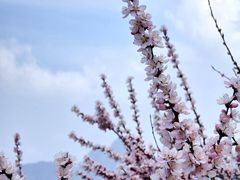 -华山风景名胜区