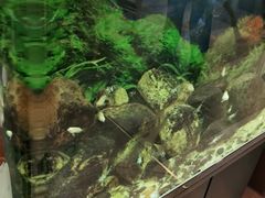 -李先生牛肉面大王(华联商厦店)