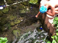 -嘉悦汗蒸时代(曙光路店)