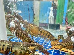 -双月饭店·20年老字号(新村店)