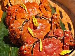 -成隆行·蟹王府(淮海店)