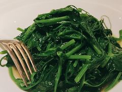 豌豆尖-甄御•海鲜新青岛菜(麦岛店)