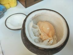 -志龙皇冠吃货椰子铺
