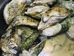 -青岛沙子口国家中心渔港