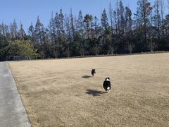 -前小桔亲子创意农场·草莓采摘·露营烧烤