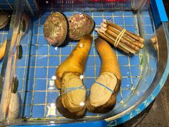 -青蓬蒸汽海鲜·深圳老字号·团建聚会(壹方城店)