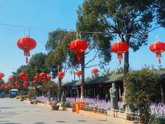 -仙岳公园