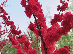 -滨湖塘西河公园