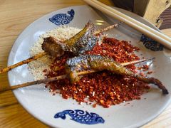 鳝鱼-晓靖轩烧烤(沙河风情店)