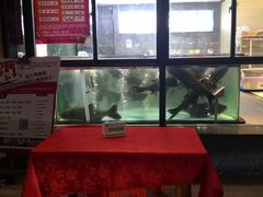 -莞香楼·正宗东莞菜(东升店)