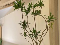 -ROIIN用心(杭州首店)