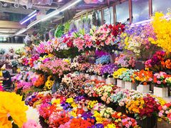 -花鸟鱼虫鲜花绿植市场(玉泉路店)