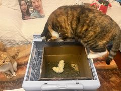 -新荟城(望京店)