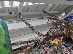 -中国地质大学逸夫博物馆